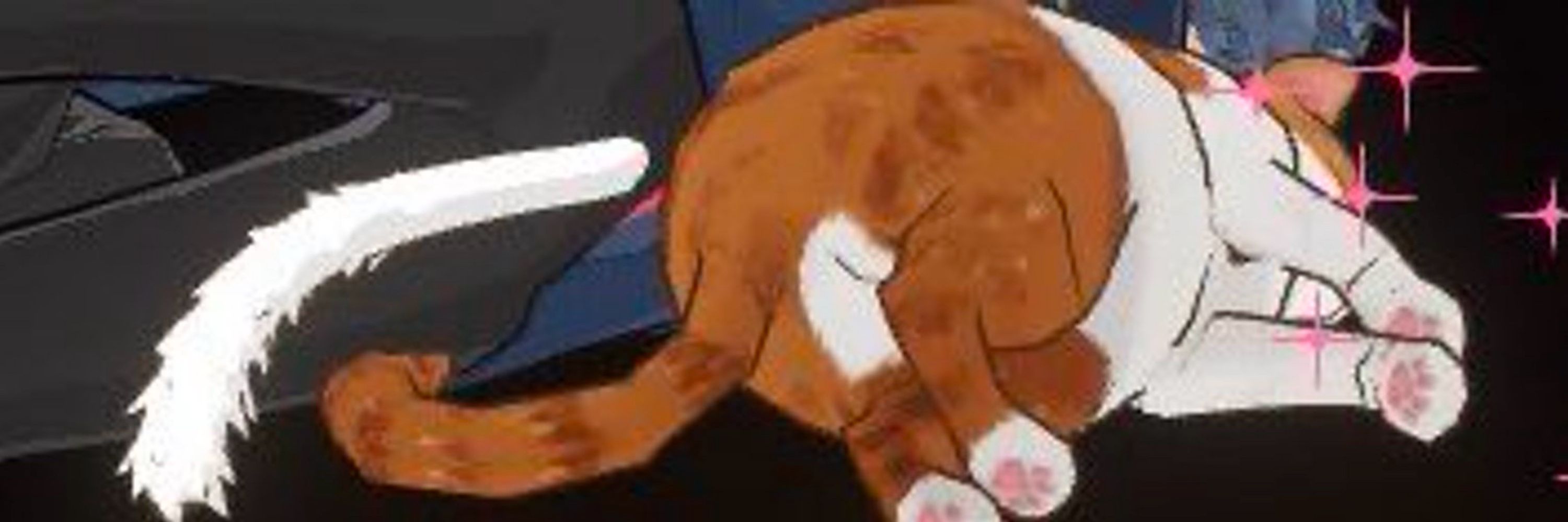 にゃあママ💫