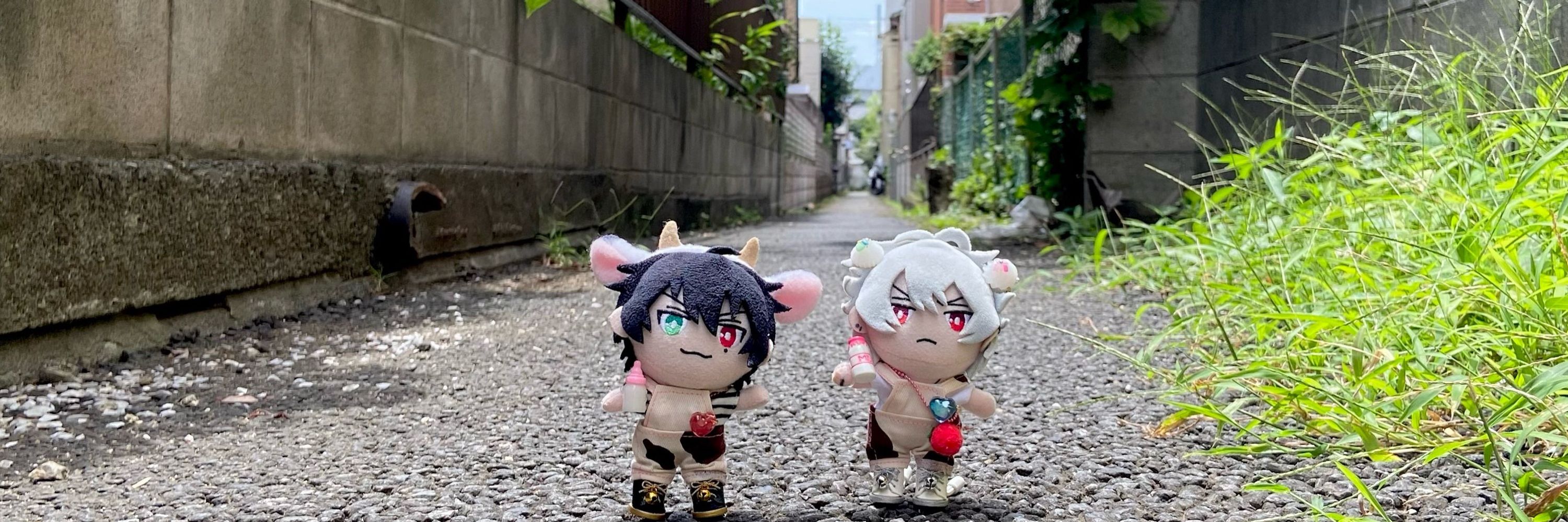 いぬ
