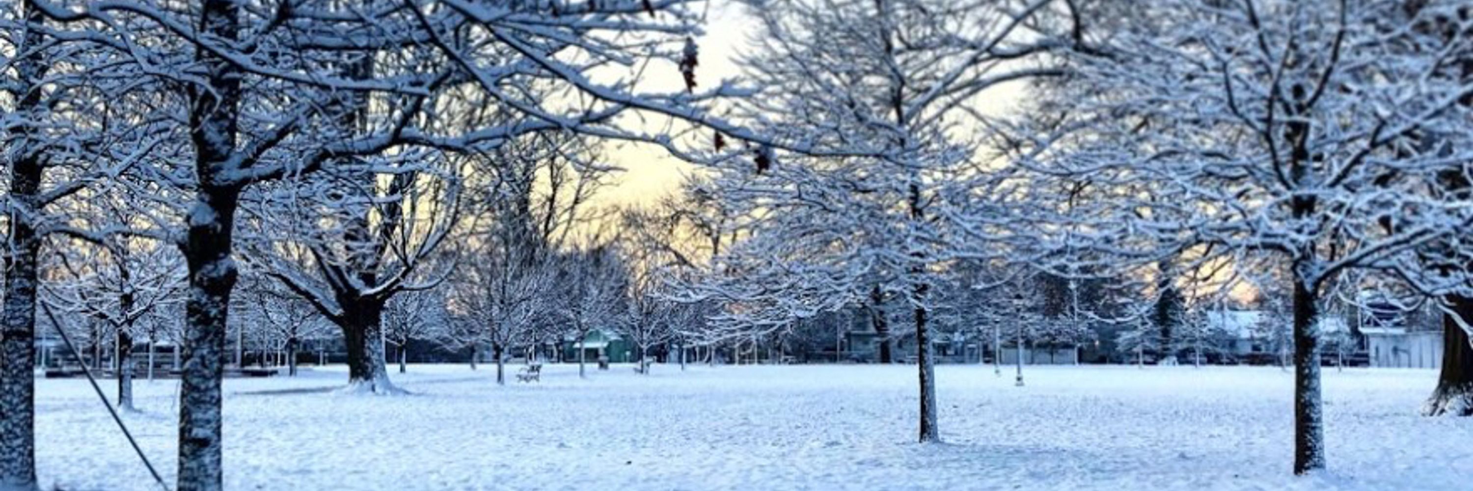 Henson SnowDude
