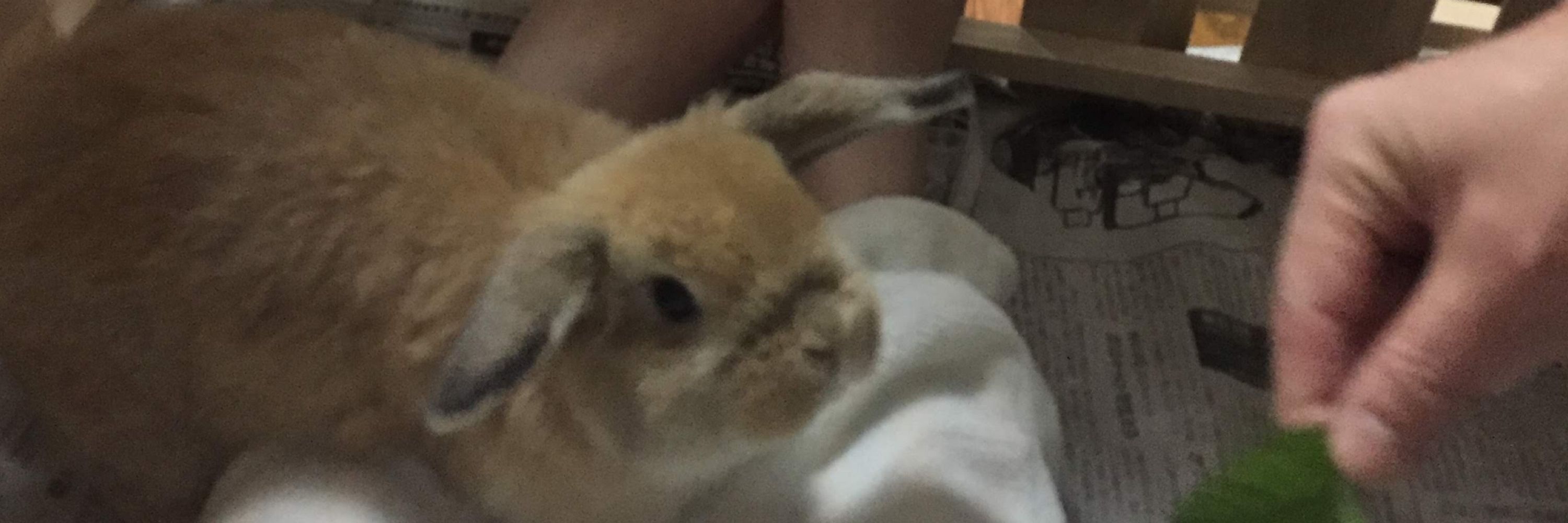 つる