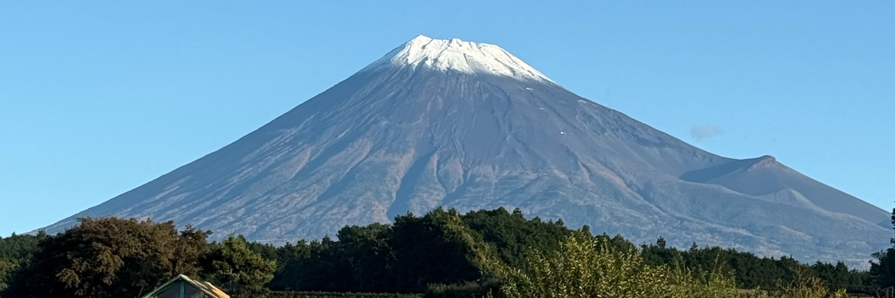 たかまる