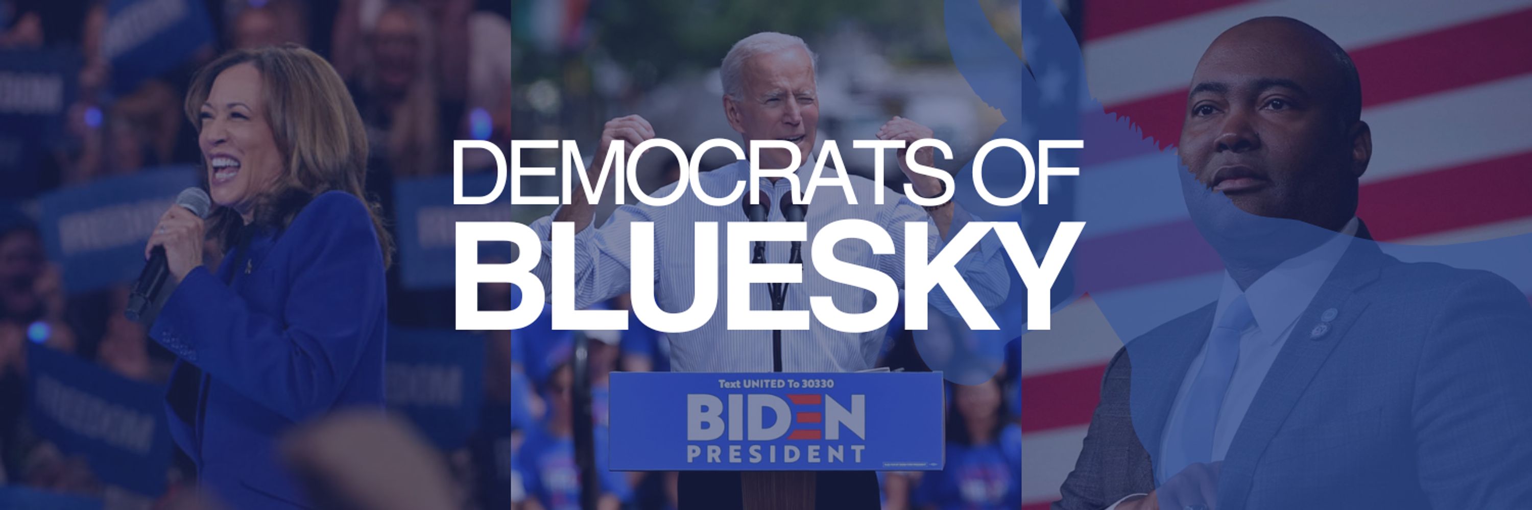 Democrats of Bluesky