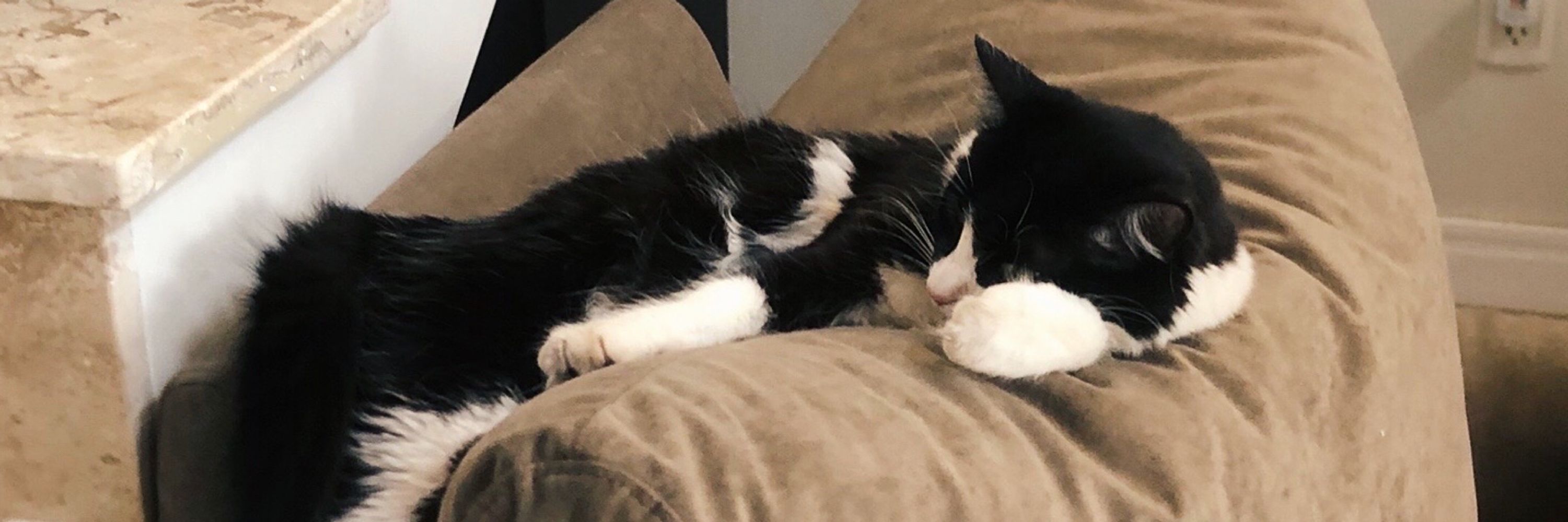 lulu