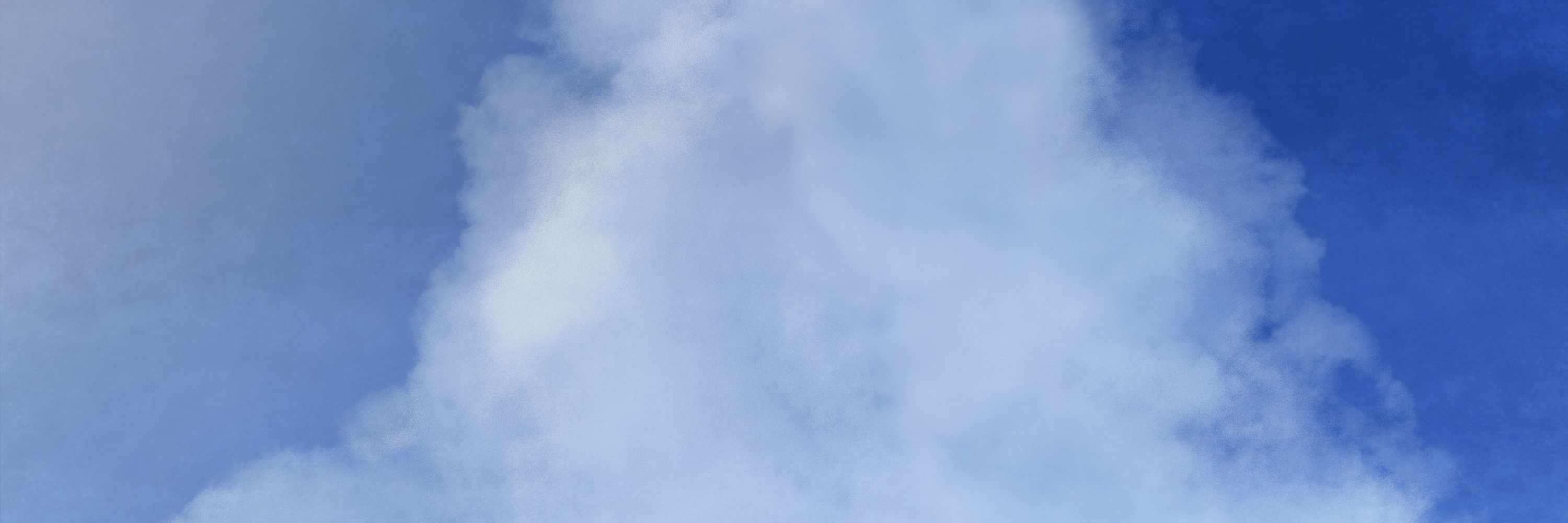 いぬ