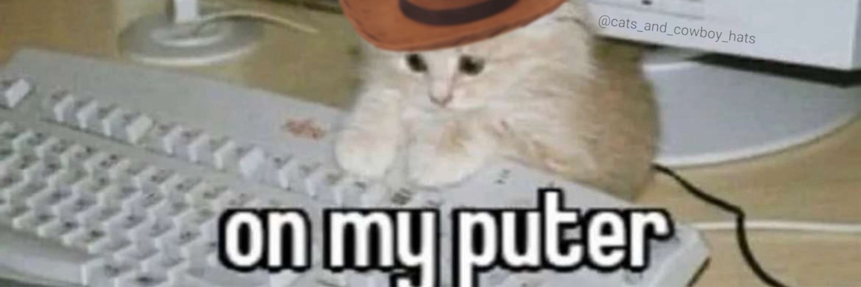 Jesse