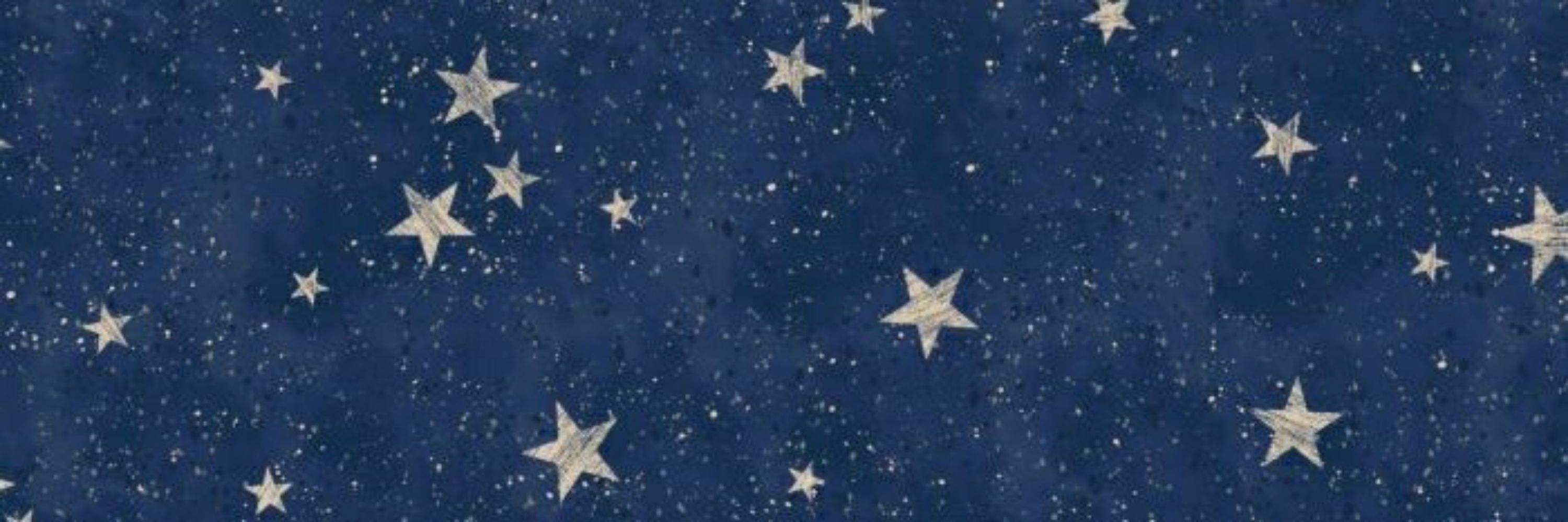 Ari Starcus