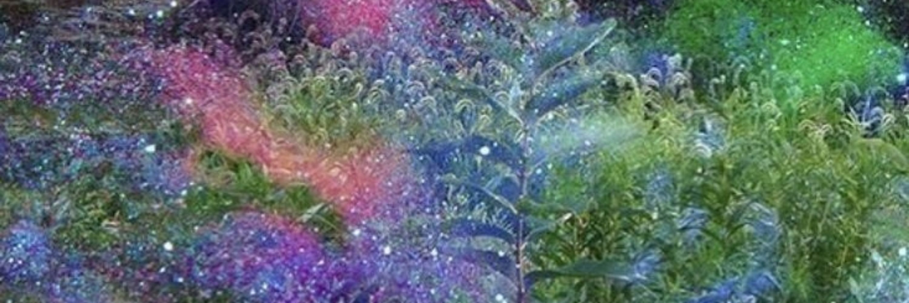 🧸🌟💕🌷💖✨💙☃️🎉