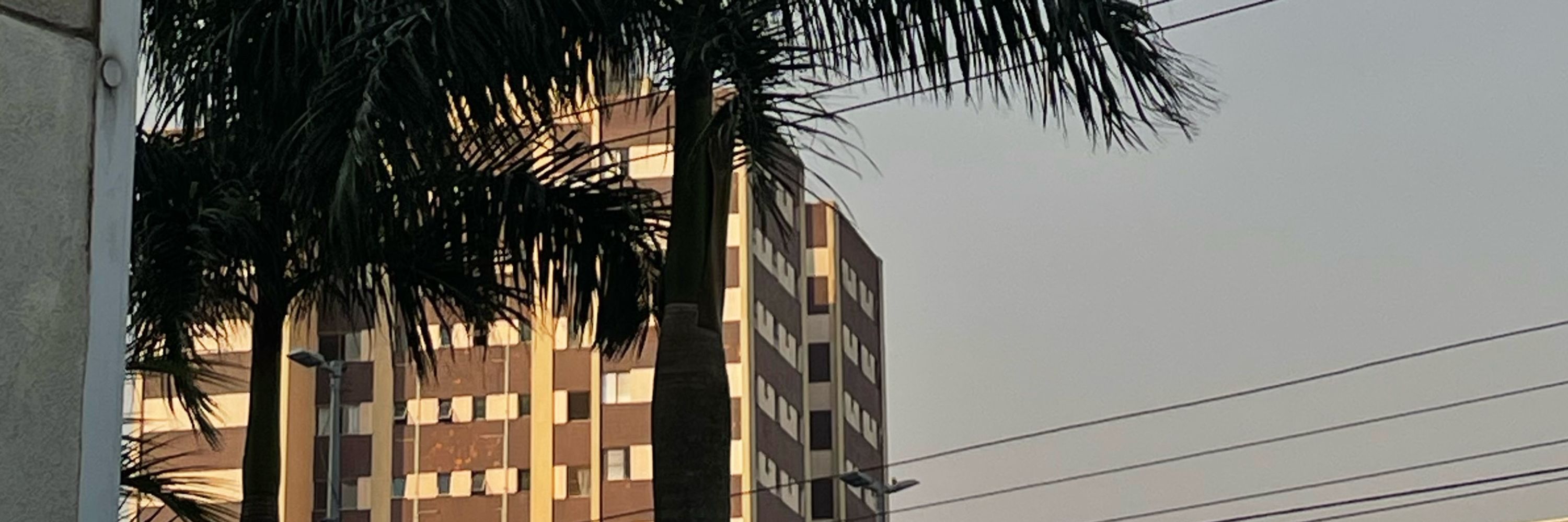 Kauan