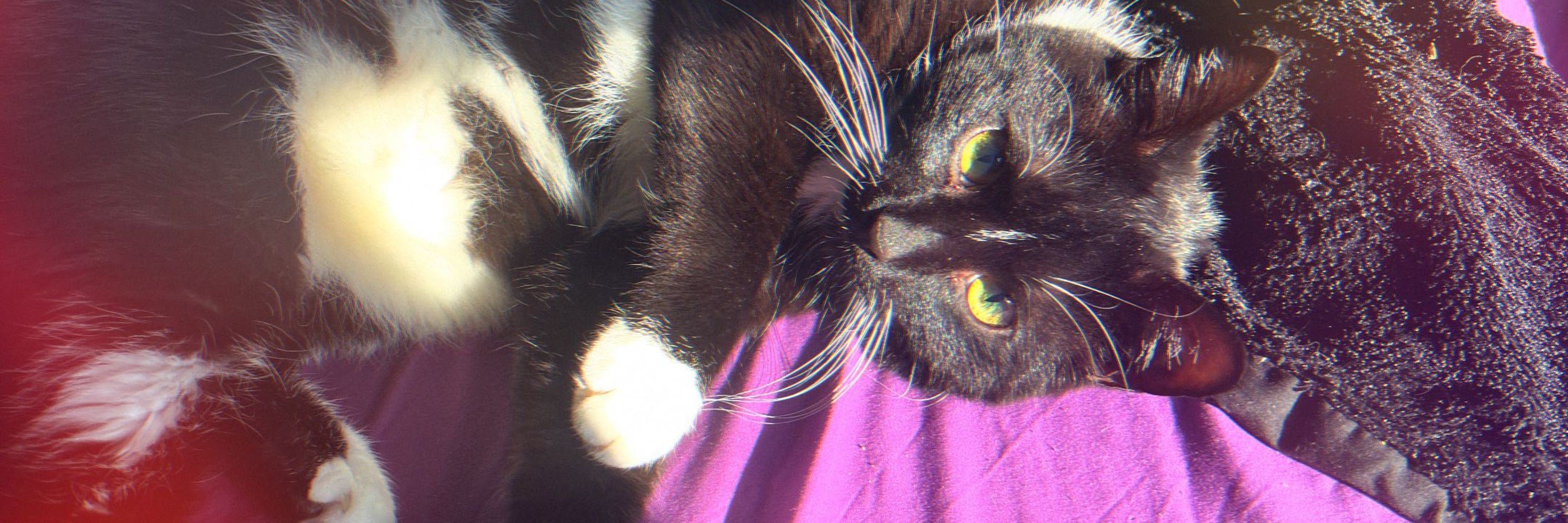Jackie