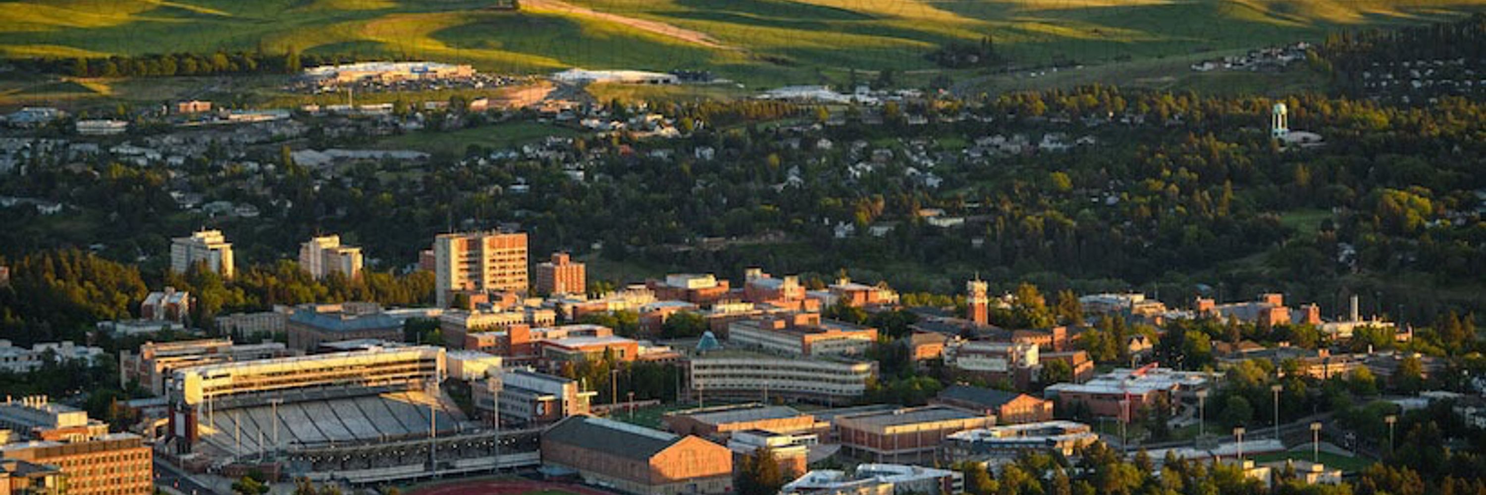 WSU Pullman