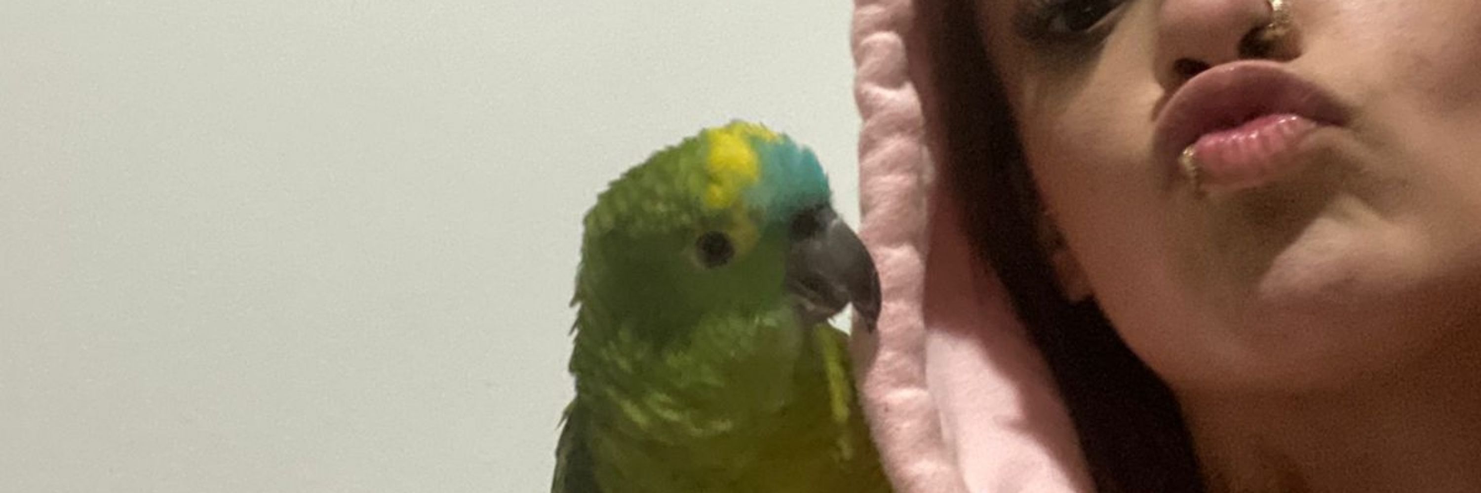 rossato 