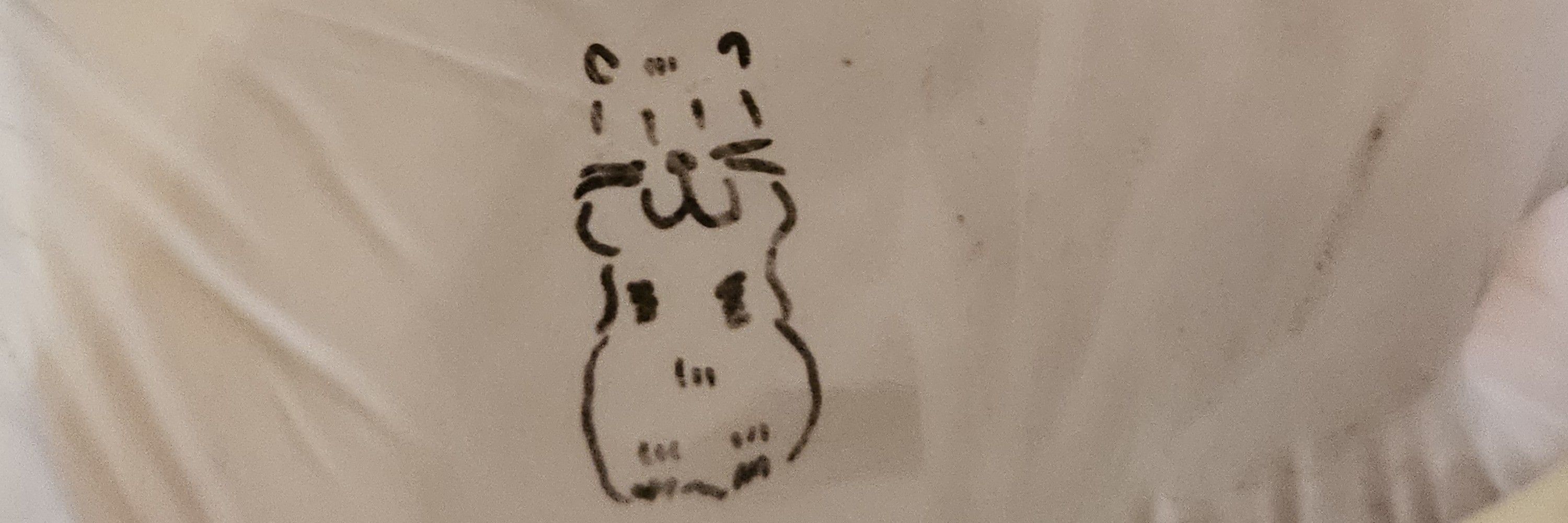 뉴가