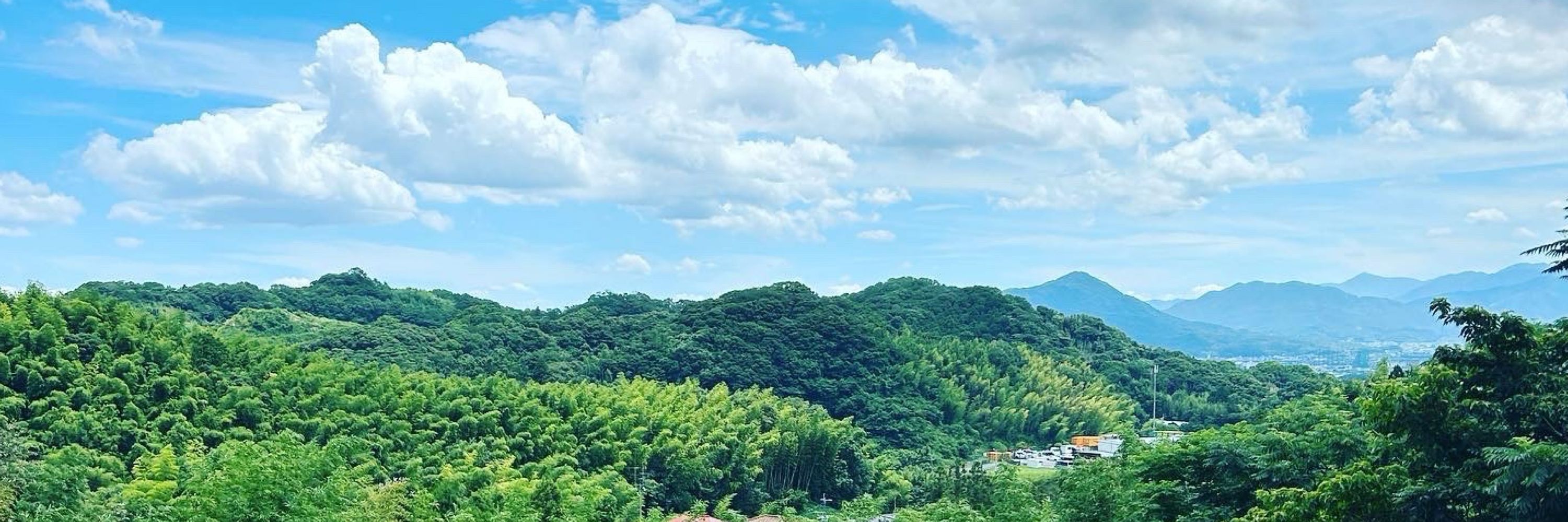 ひきわり