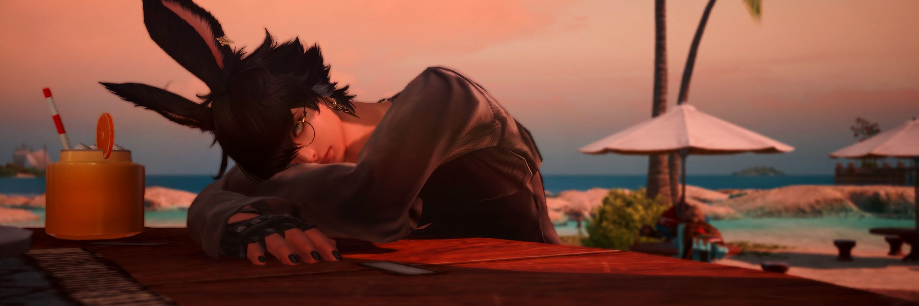 Tao Xo