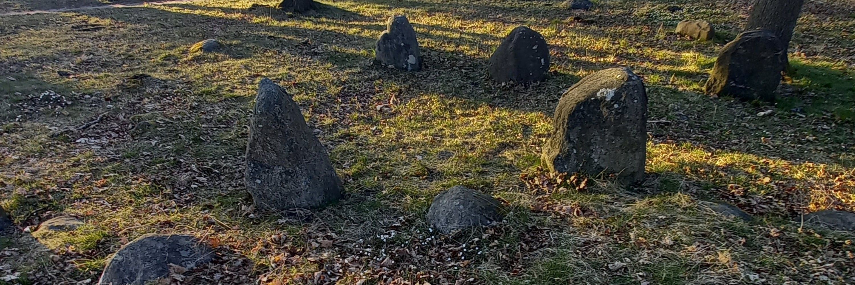 Vibbe25 