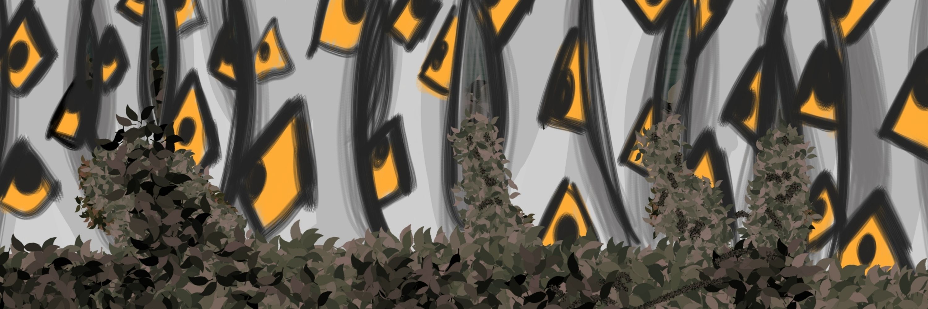 Birch Sight