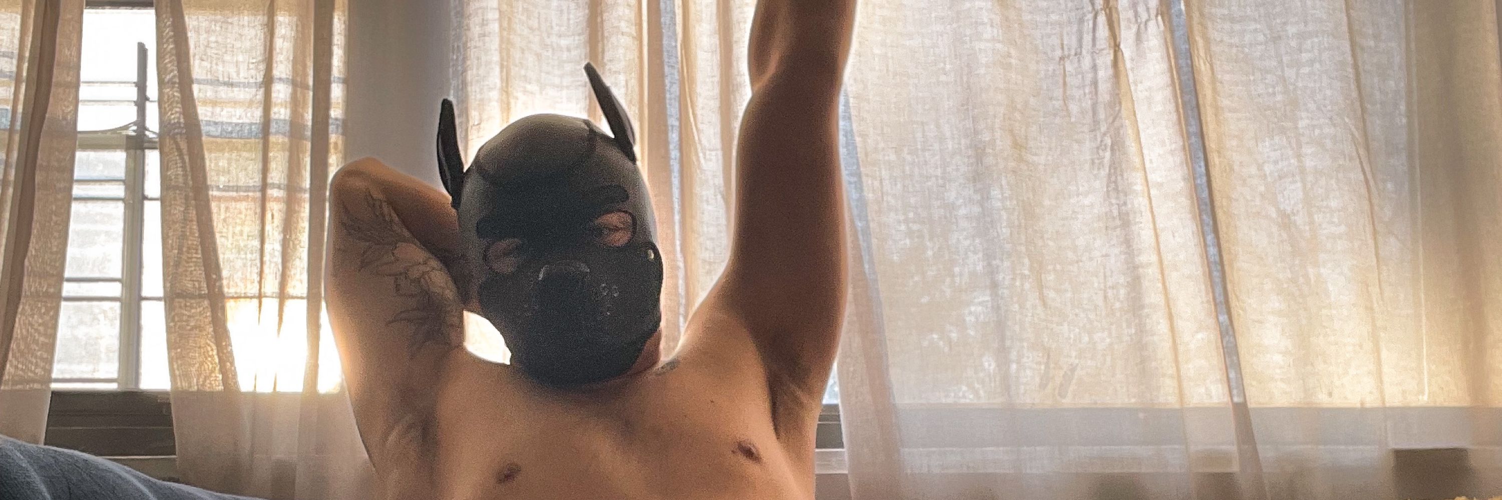 Pup Dart