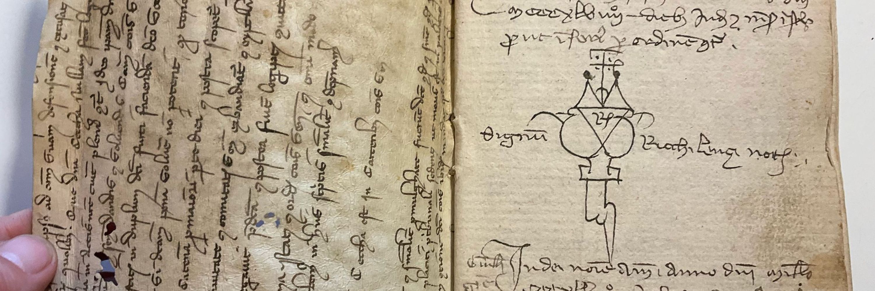 Art & Inequality in the Shadow of the Black Death