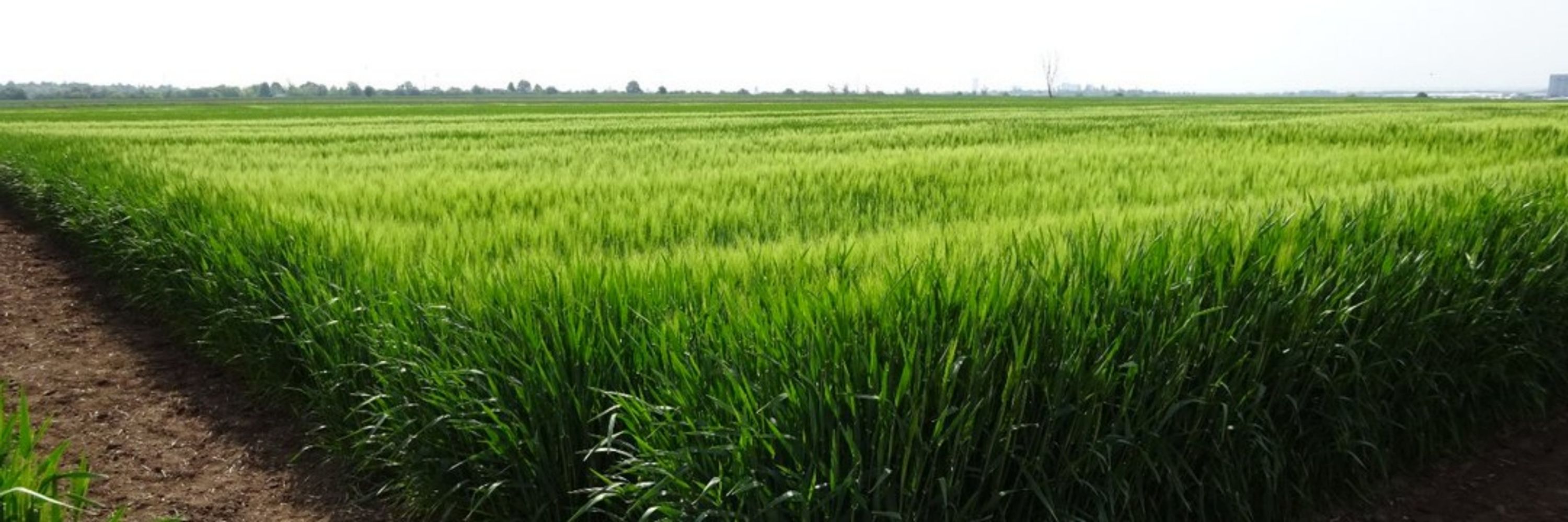 AgMicro-Lab