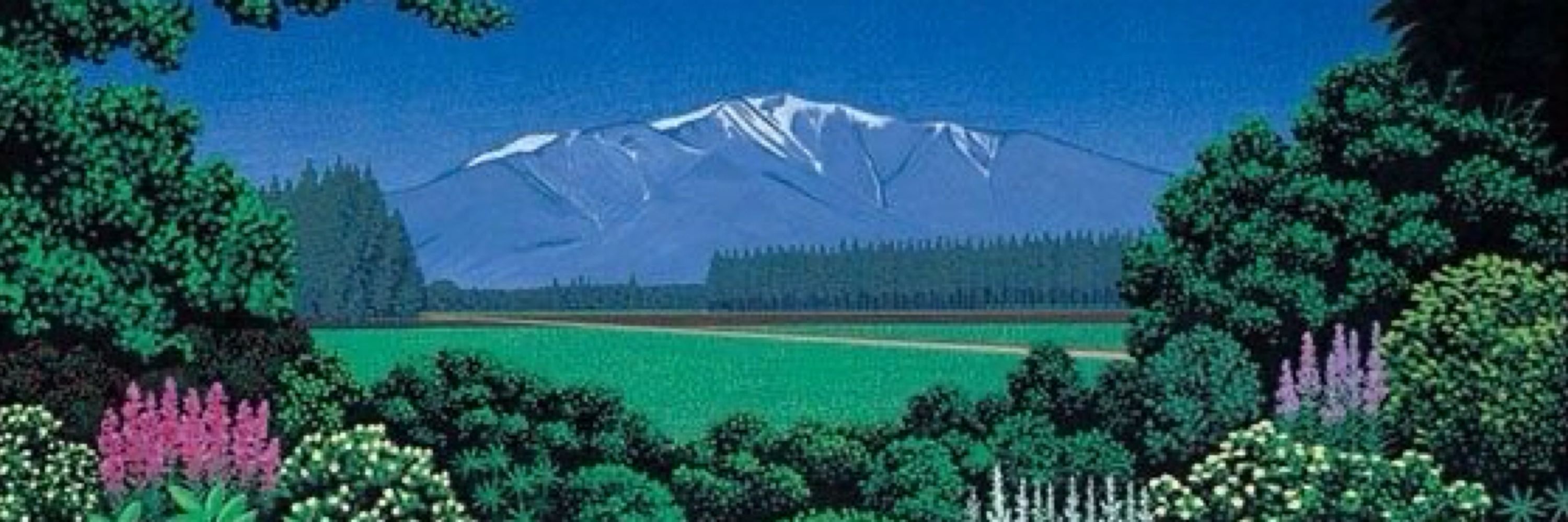 𝓵ɇx𝐢ﾟ