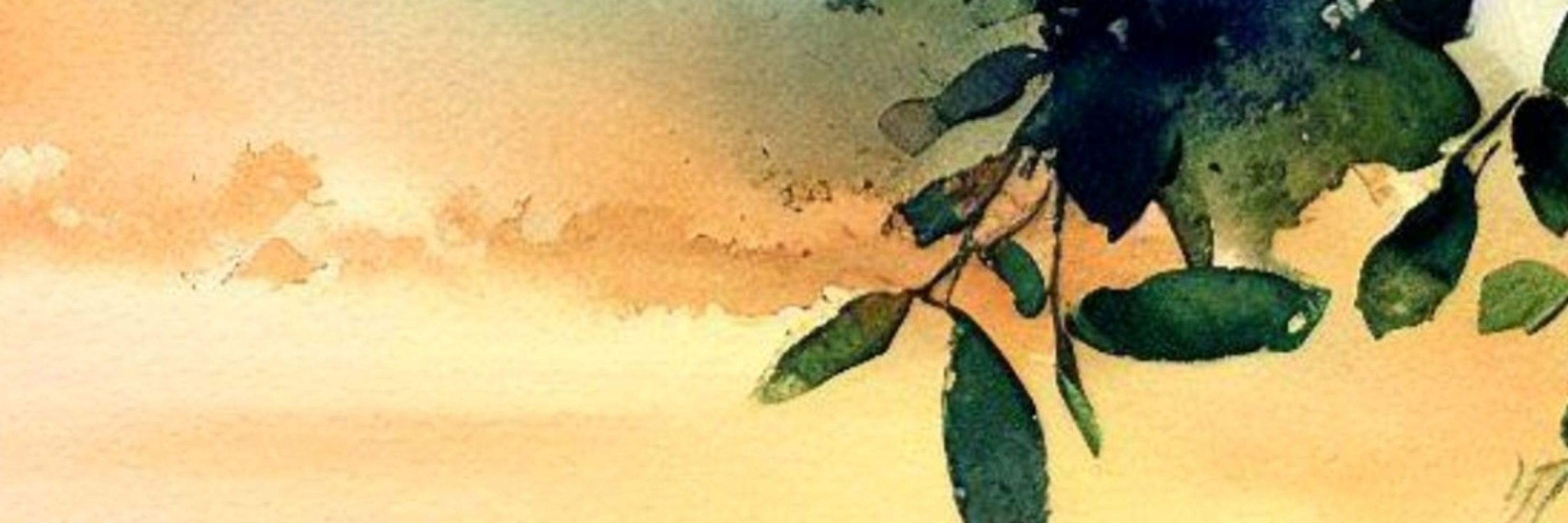 Lynnette LaPlace