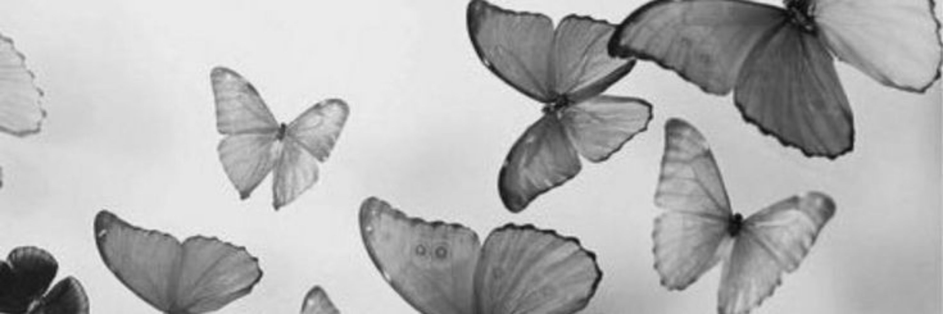 Binna🦋