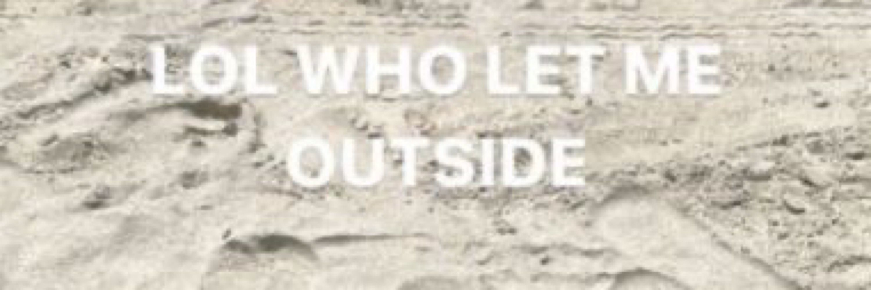 Sy