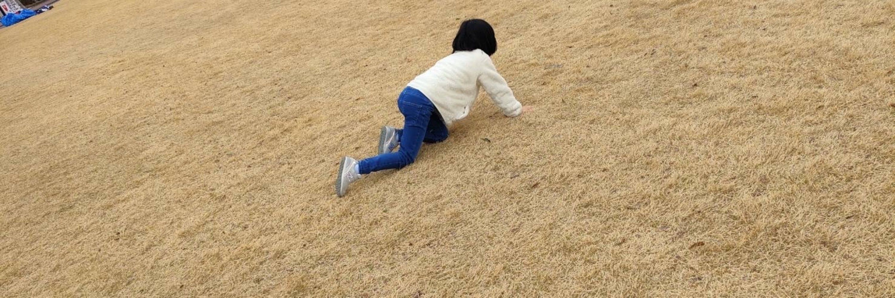 山下たつ美