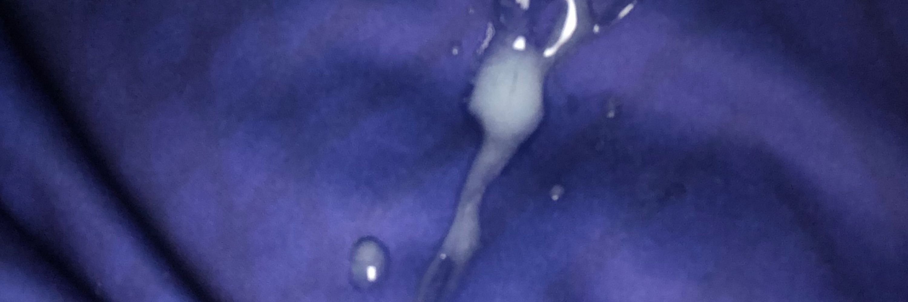Sedento 🍑