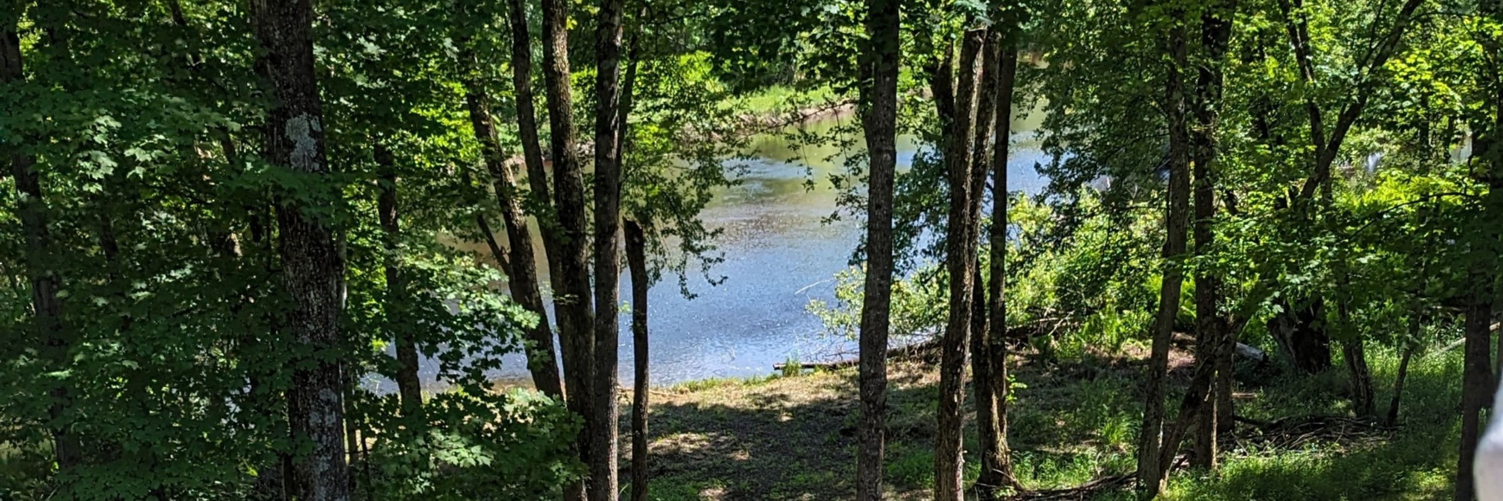 RiverWatcher35