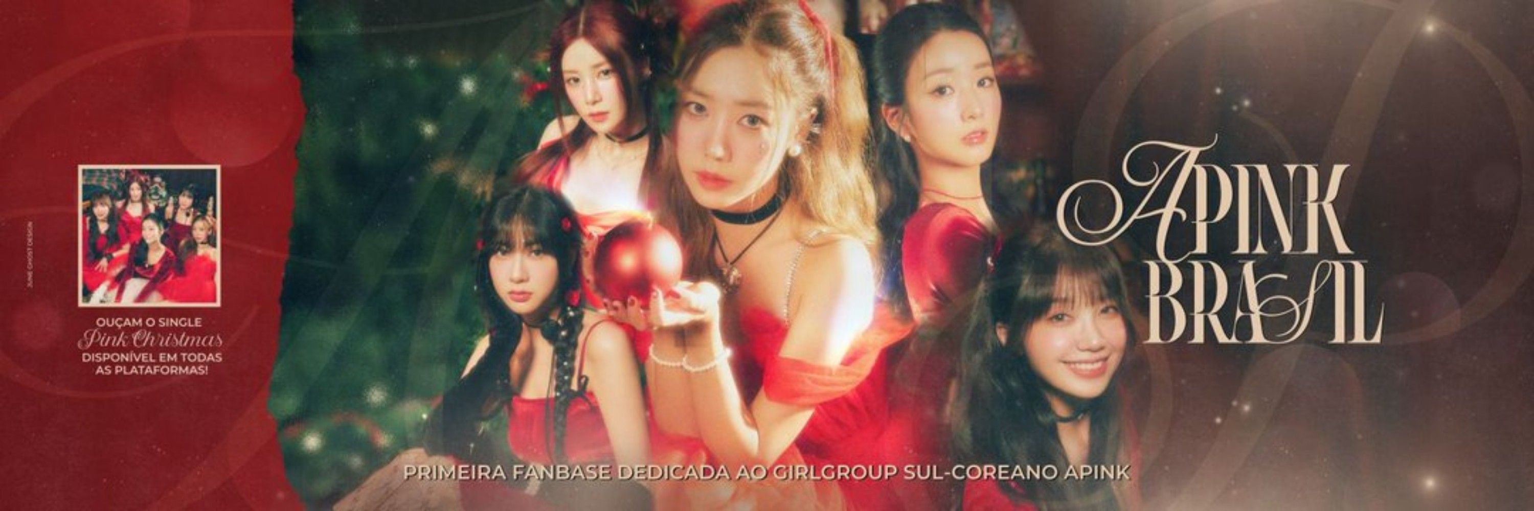 Apink Brasil