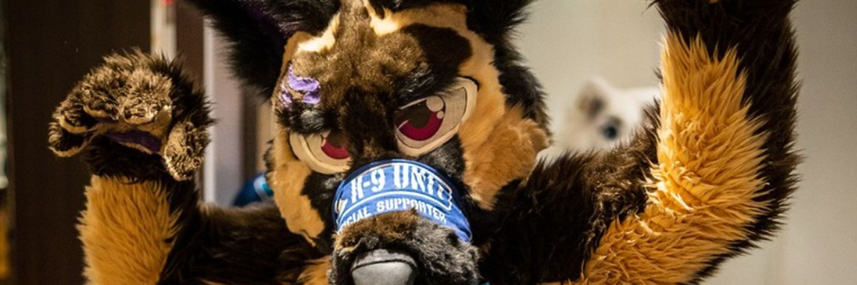 GT- Best Shep you know