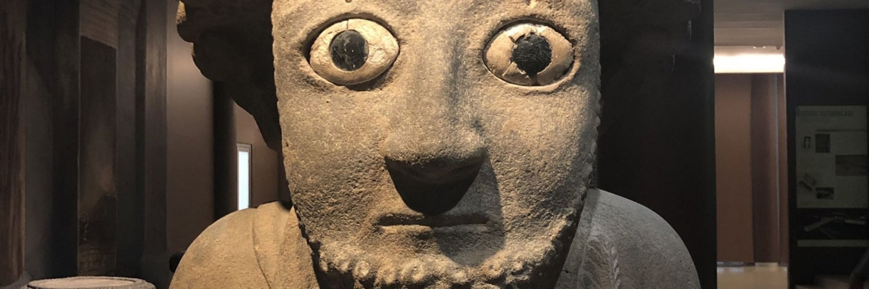 Suppliliuluma