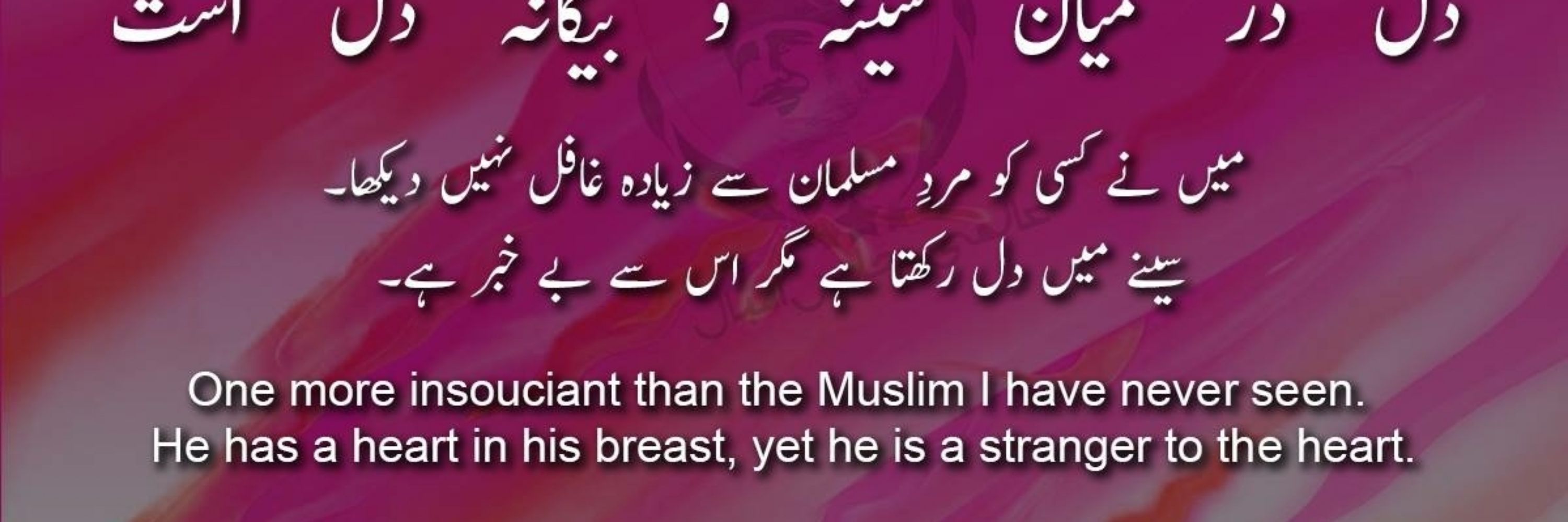 Rajpoot sab  PTI spoter 🇵🇰 🇲🇫