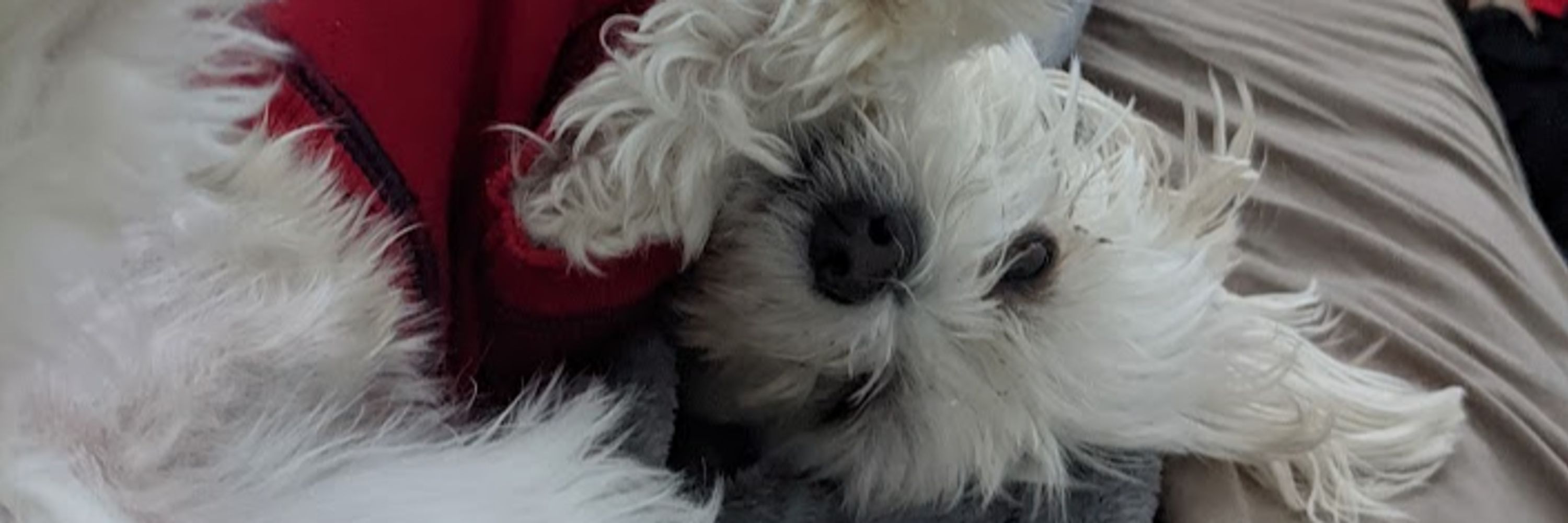 Sleepy