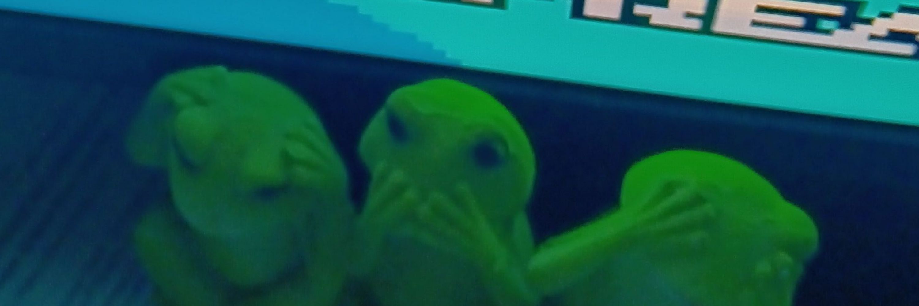 Dewey but at Night 🐸🌜