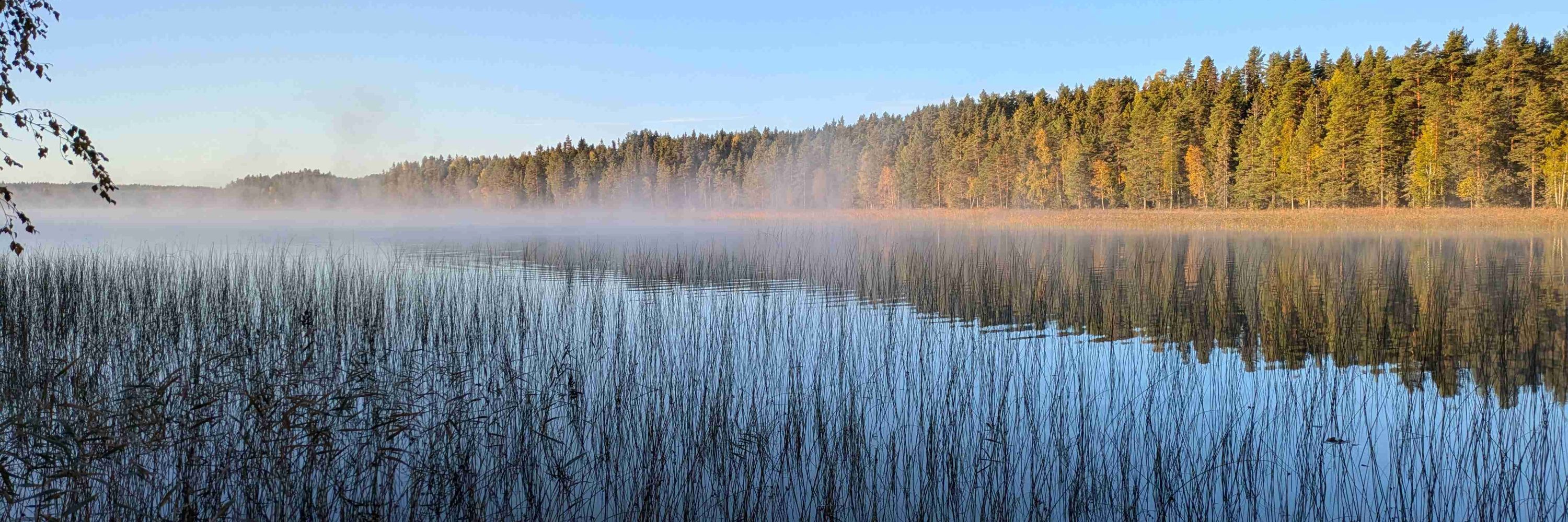 Pär Westblad