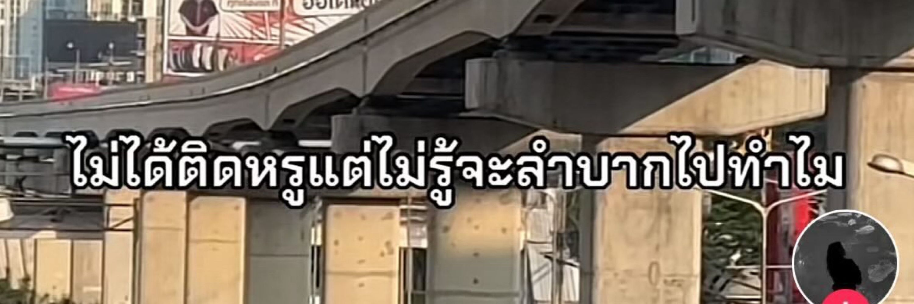 ต้นคนซื่อ(บื้อ)