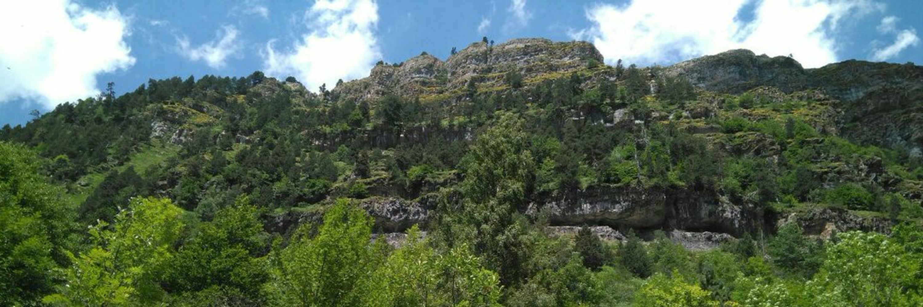 Arunret