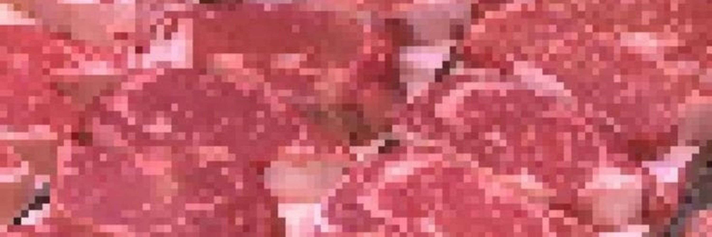 astreadicea 𓍢ִ໋🌷͙֒ ᰔᩚ