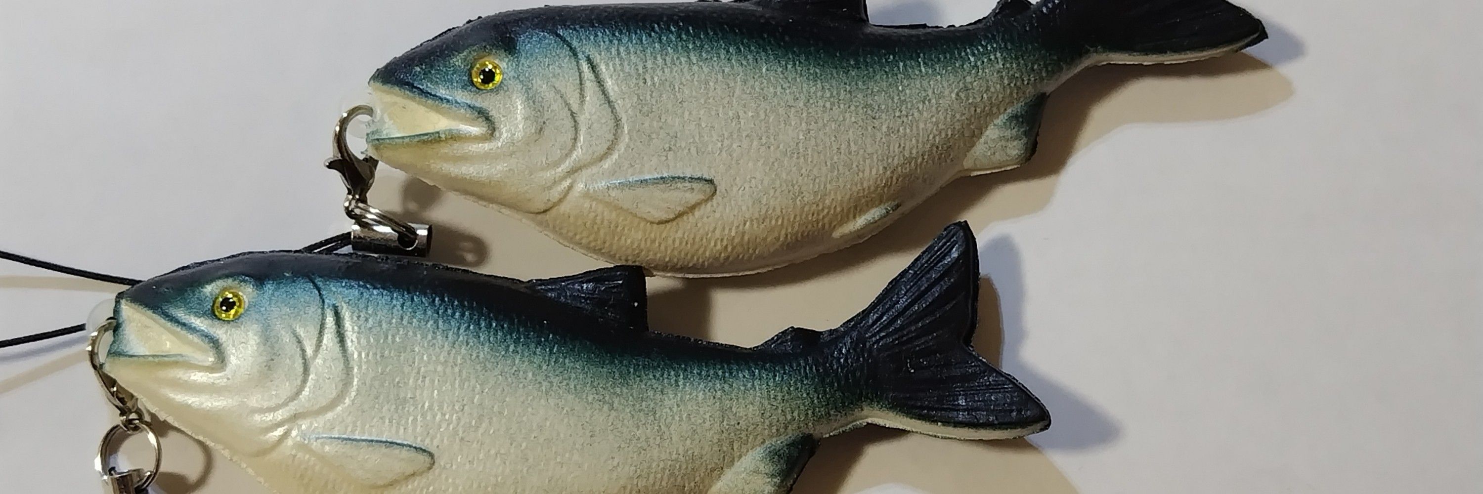 駄言鮭魚
