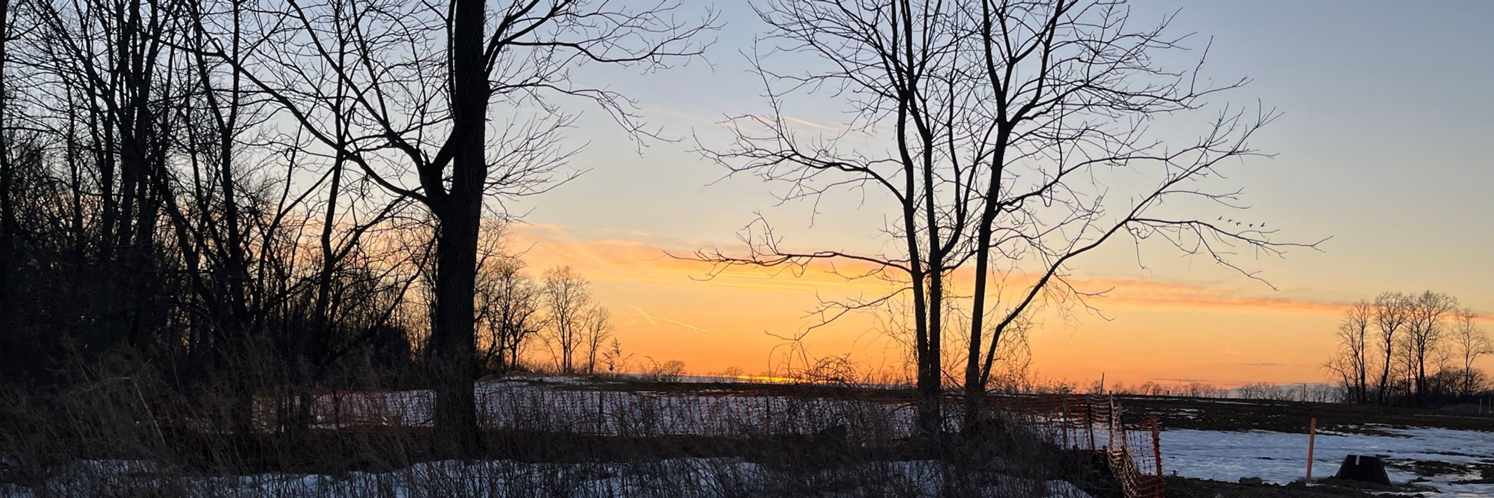 Nurse in the Mitten🧤