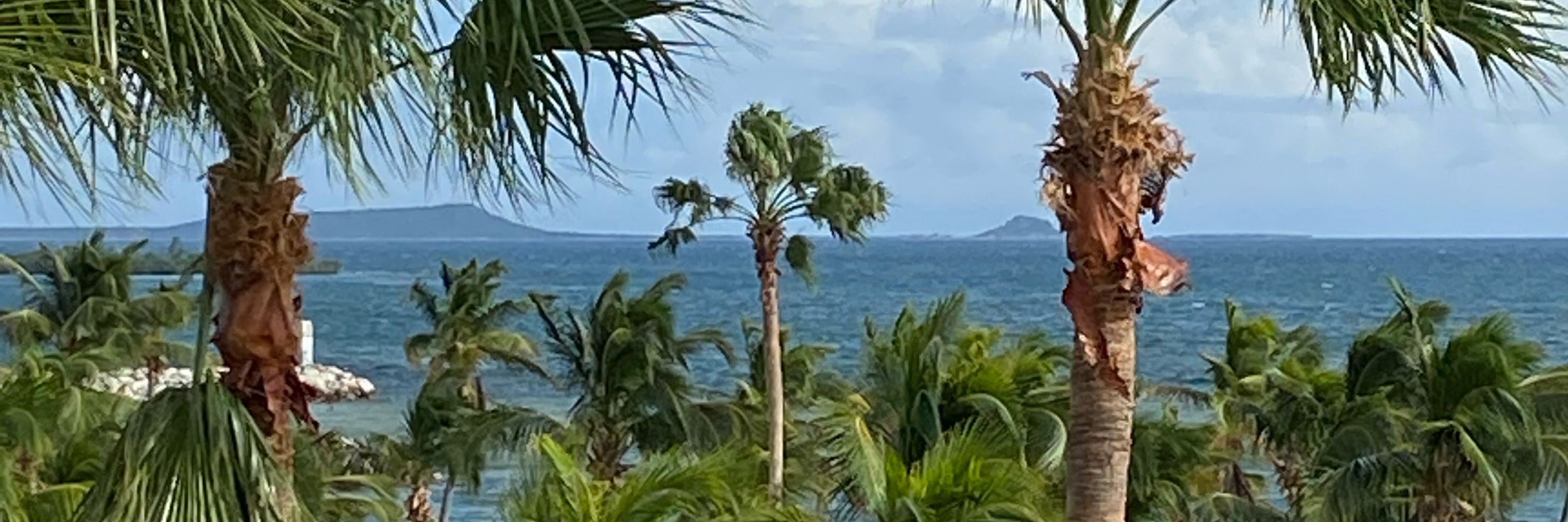 DonJulio
