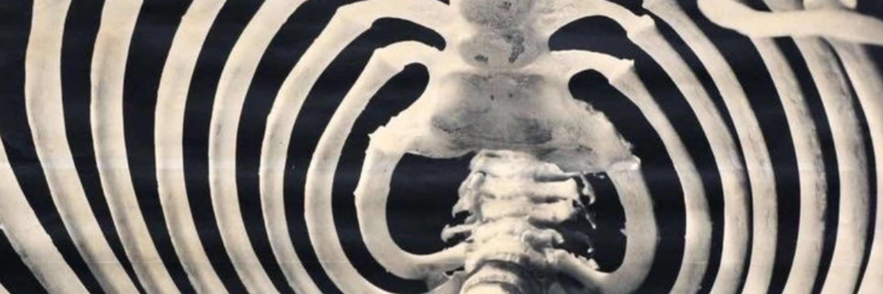 Knowncorpse