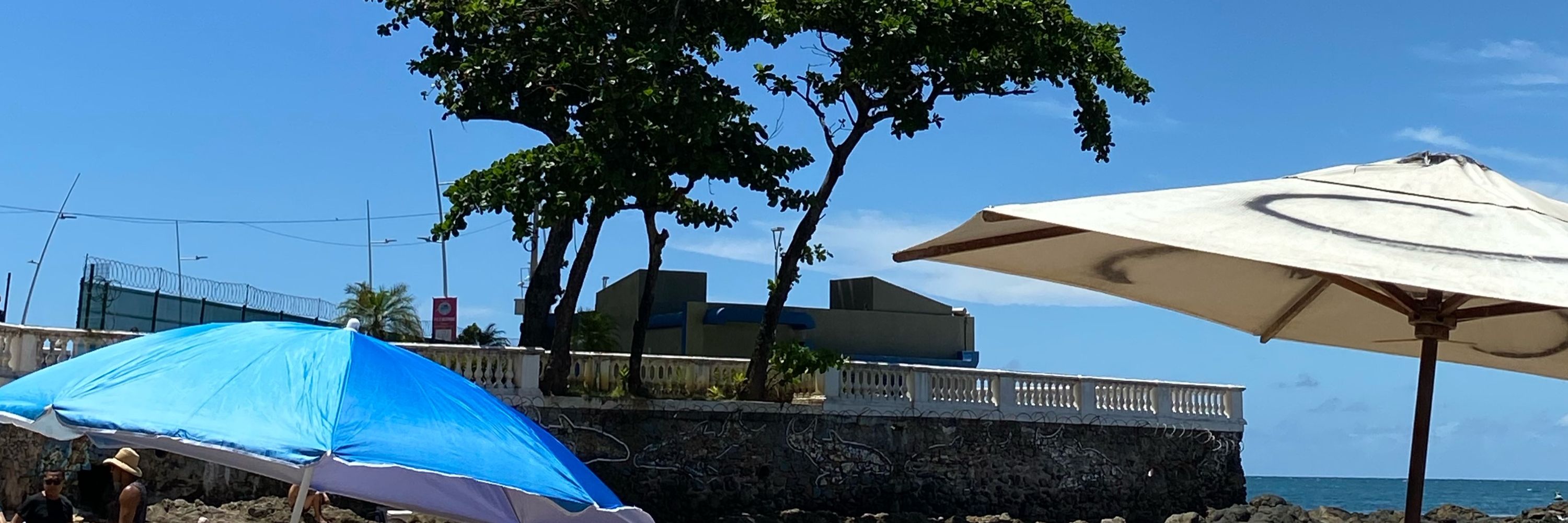 Pônei Arrebitado 