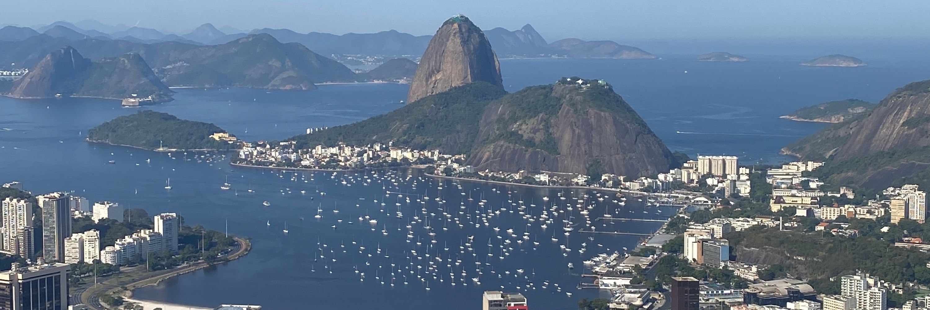 letícia