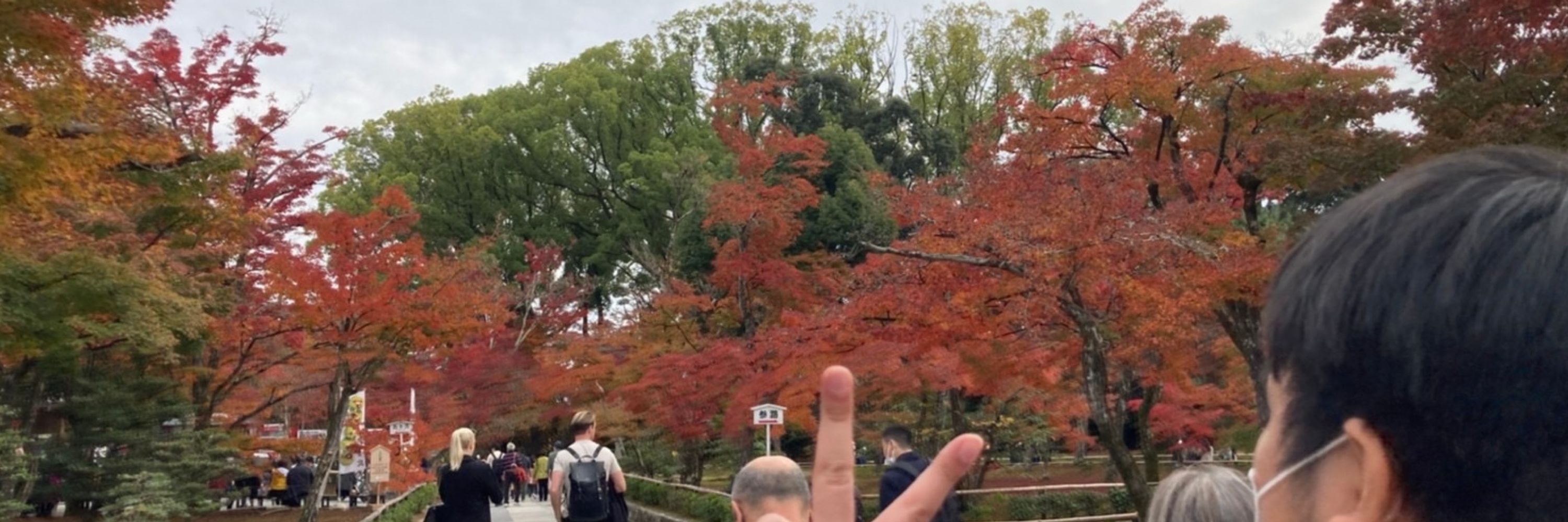 かっぽう