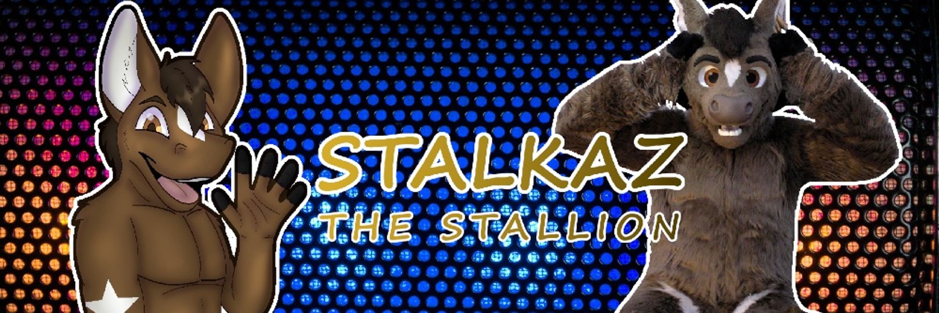 Stalkaz