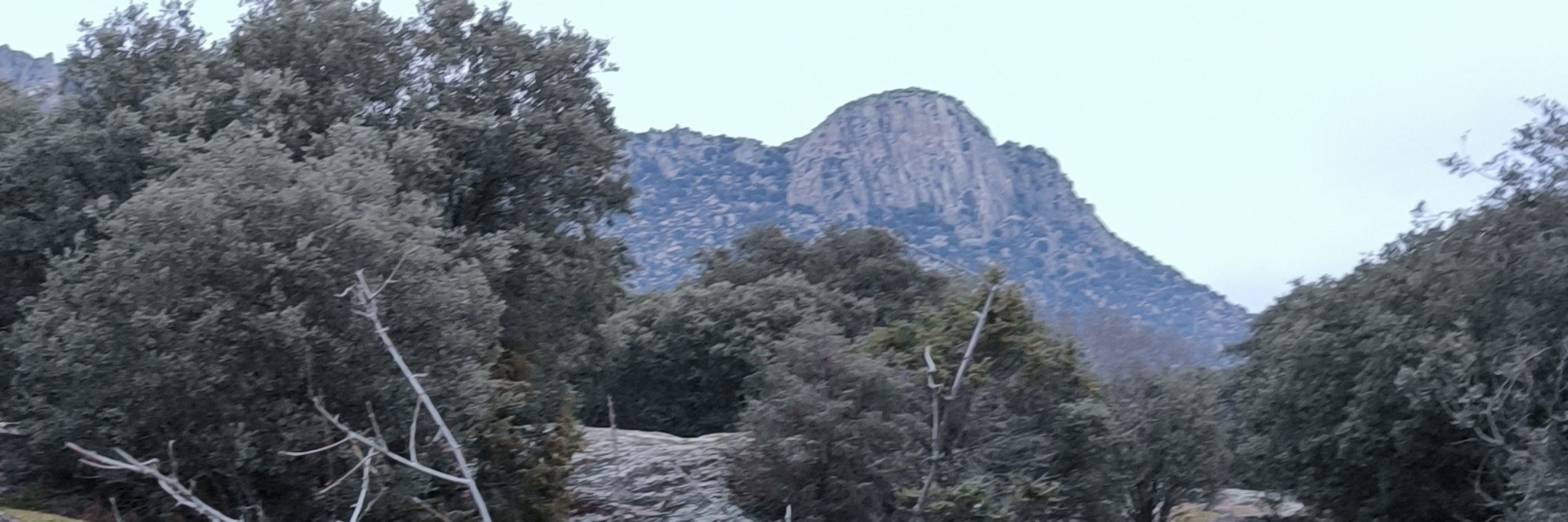 Malisia
