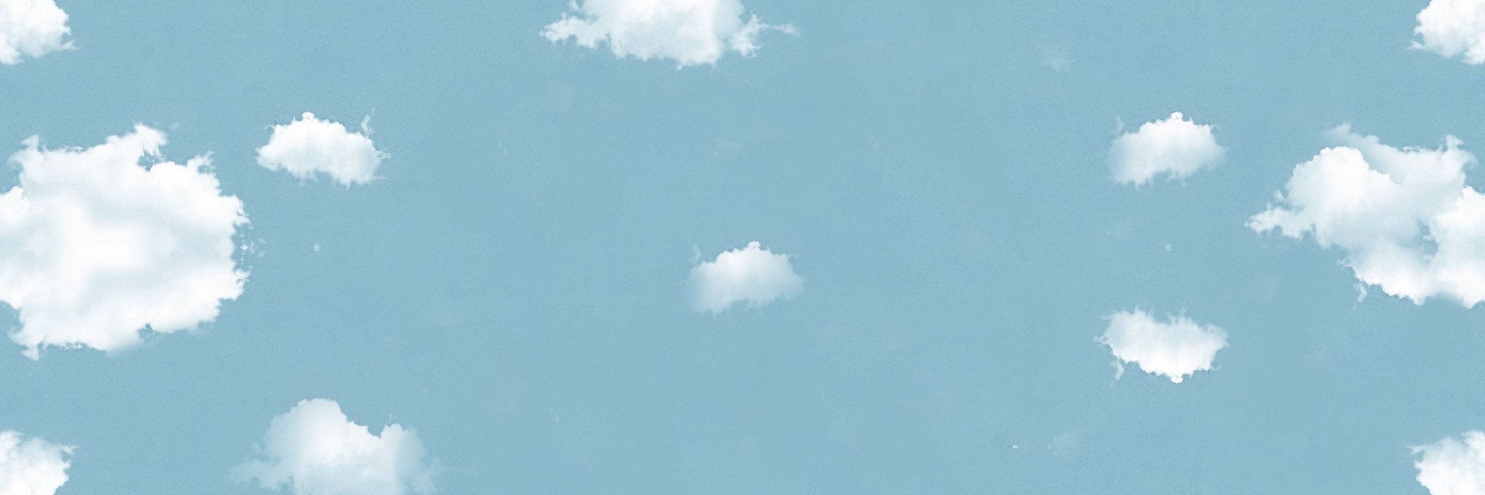 Leon🦋